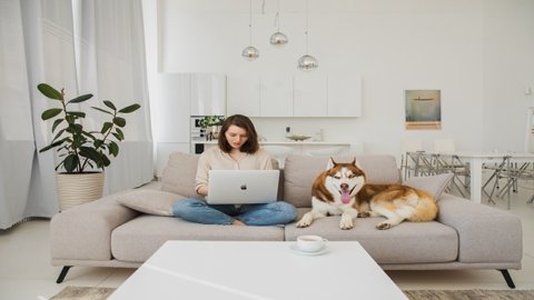 購買美國03類商標的費用