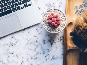 歐盟代表（歐代）如何申請(qǐng)注冊(cè)及使用指南