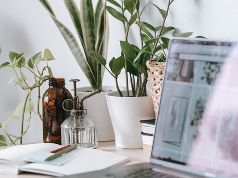 全面解析:中國(guó)香港的稅收體制及優(yōu)勢(shì) 全面解析:中國(guó)香港的稅收體制及優(yōu)勢(shì)