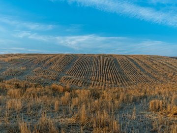 香港注冊(cè)行業(yè)協(xié)會(huì)的八個(gè)關(guān)鍵要素詳解